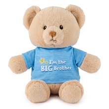 Gund Big Brother/ Big Sister Bears